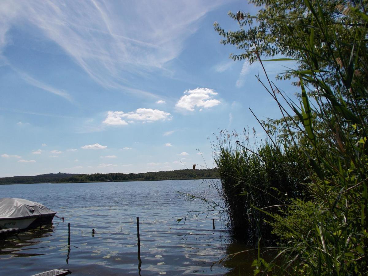 Ferienhaus Am Langen See III Heidesee المظهر الخارجي الصورة